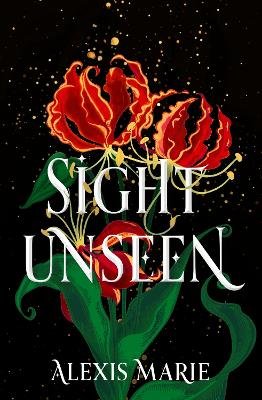 Sight Unseen: An irresistible enemies-to-lovers, slow-burn fantasy romance