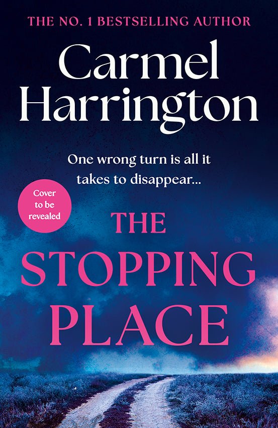 The Stopping Place: the heart-stopping new emotional thriller from the author of The Nowhere Girls