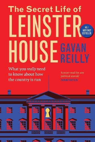 The Secret Life of Leinster House: What you really need to know about how the country is run